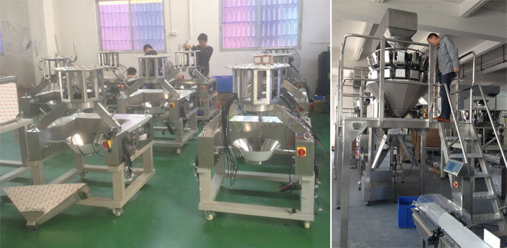 220D組合稱量自動食品包裝機